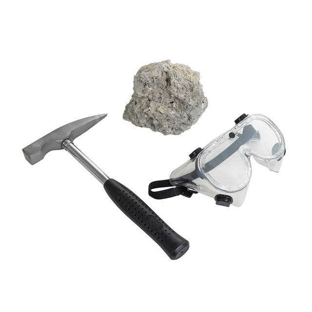 Amber Mega Fossil Dig Kit,Real Crystals & Gemstone Fossil Science Kits For Kids Age 6 7 8 9 10 Rocks Stones Bugs Excavation Kits， Educational Toys Gifts Toys F