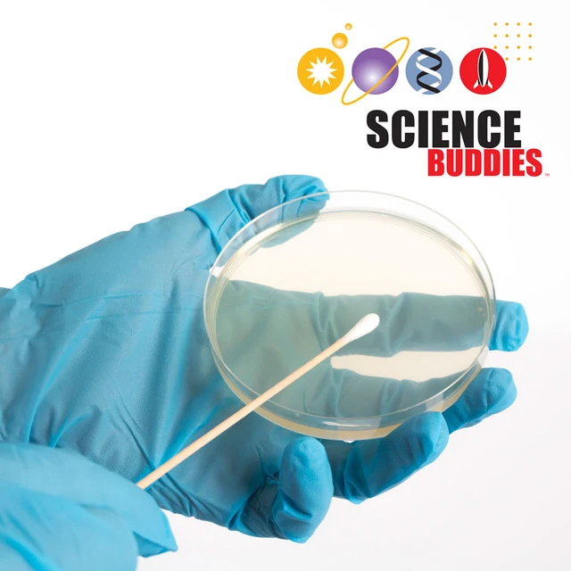Bacteria Discovery Kit