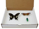 Insect Collection Box | Display Your Bugs in this Basic Insect Box