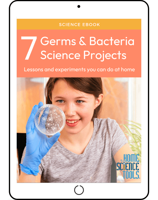 7 Germs & Bacteria Science Projects