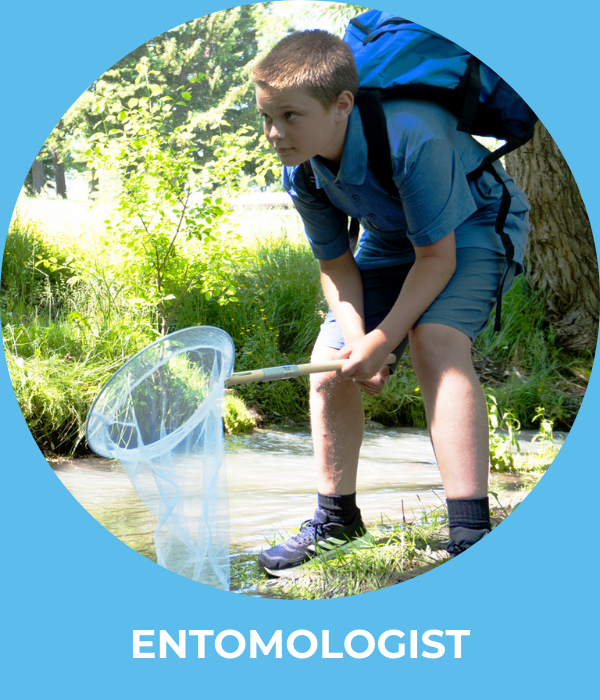 entomologist backpack kit
