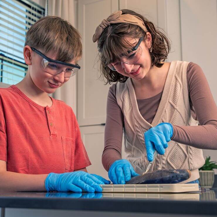 Dissection Kits
