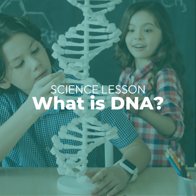 Science Lesson: What is DNA?