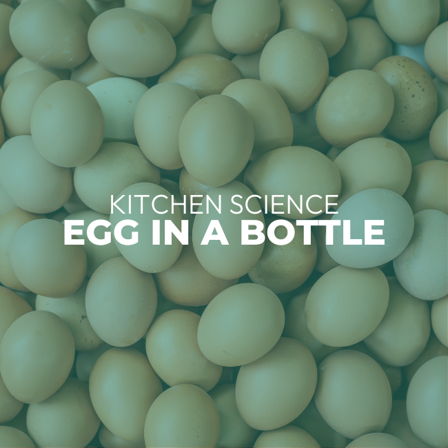 Egg in a Bottle