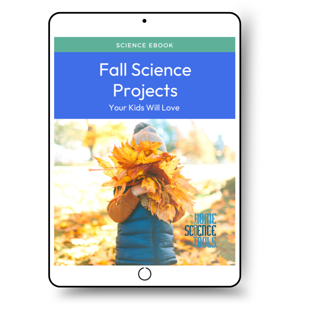 Fall Science Projects