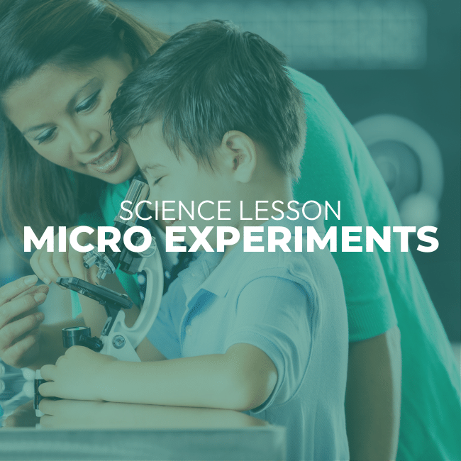 Micro Experiments