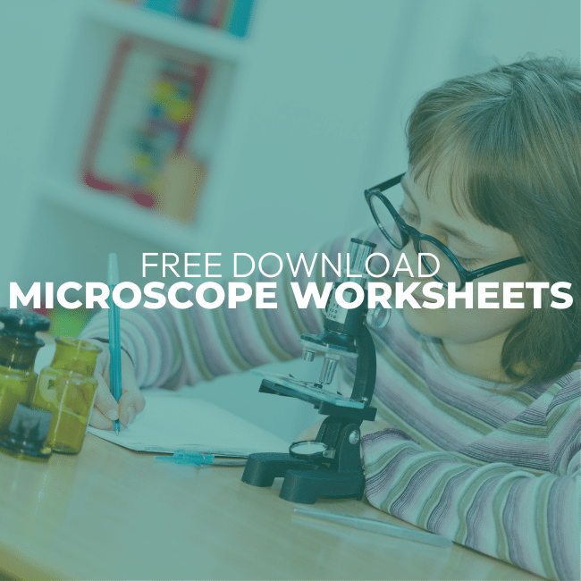 Microscope Worksheets