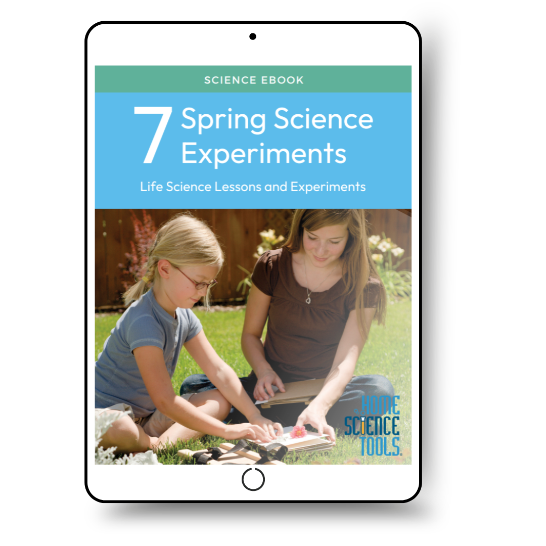 Seven Spring Science Experiments