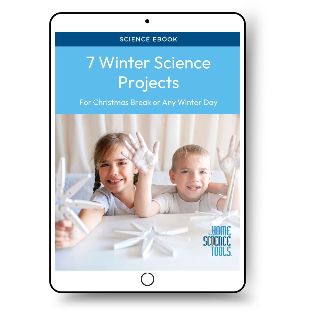 Seven Winter Science Projects