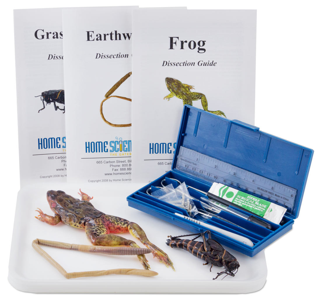 Image of Introductory Dissection Kit