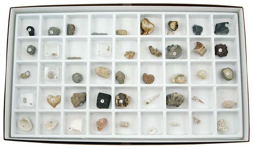 Rock Collection Display Box