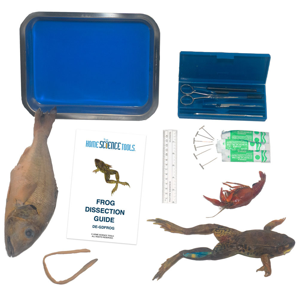 Image of Apologia Biology Dissection Kit