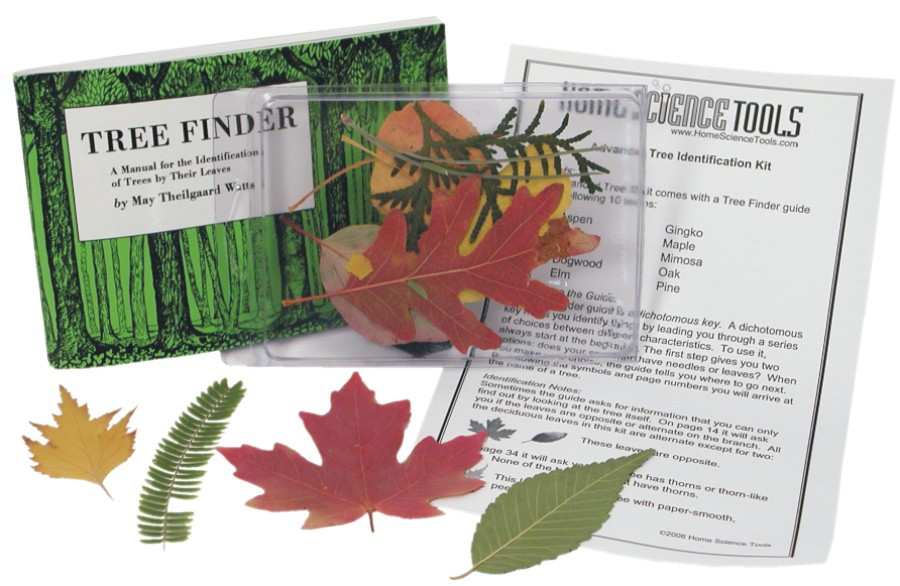 Image of Tree & Leaf Identification Kit
