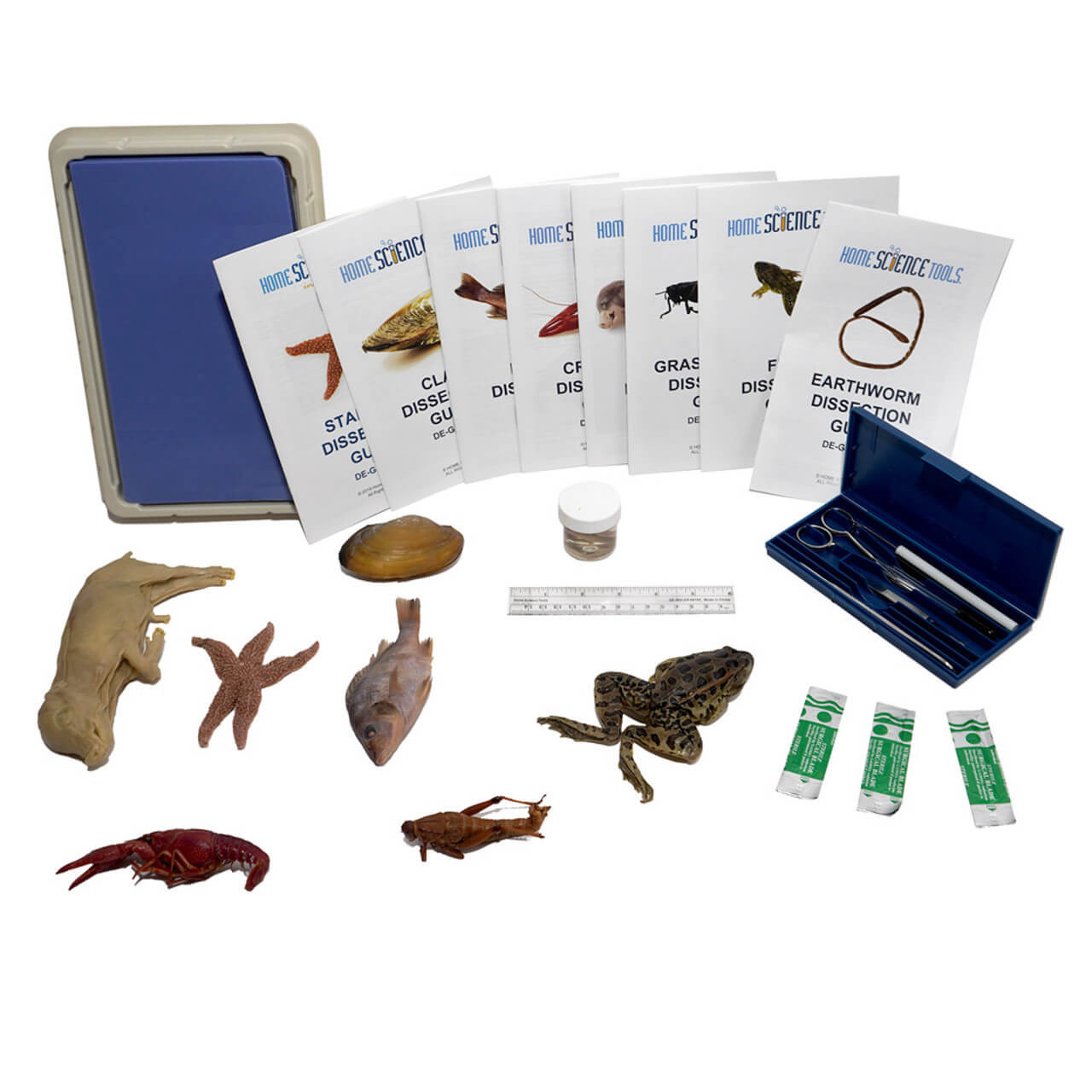 Image of Advanced Dissection Kit