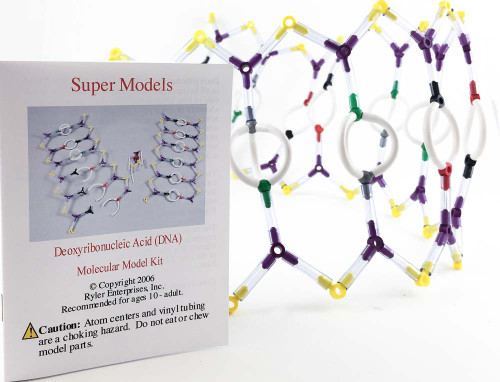 Kemtec DNA Model with Paint Kit DNA molecular model:Education