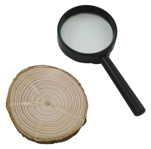 tree ring kit