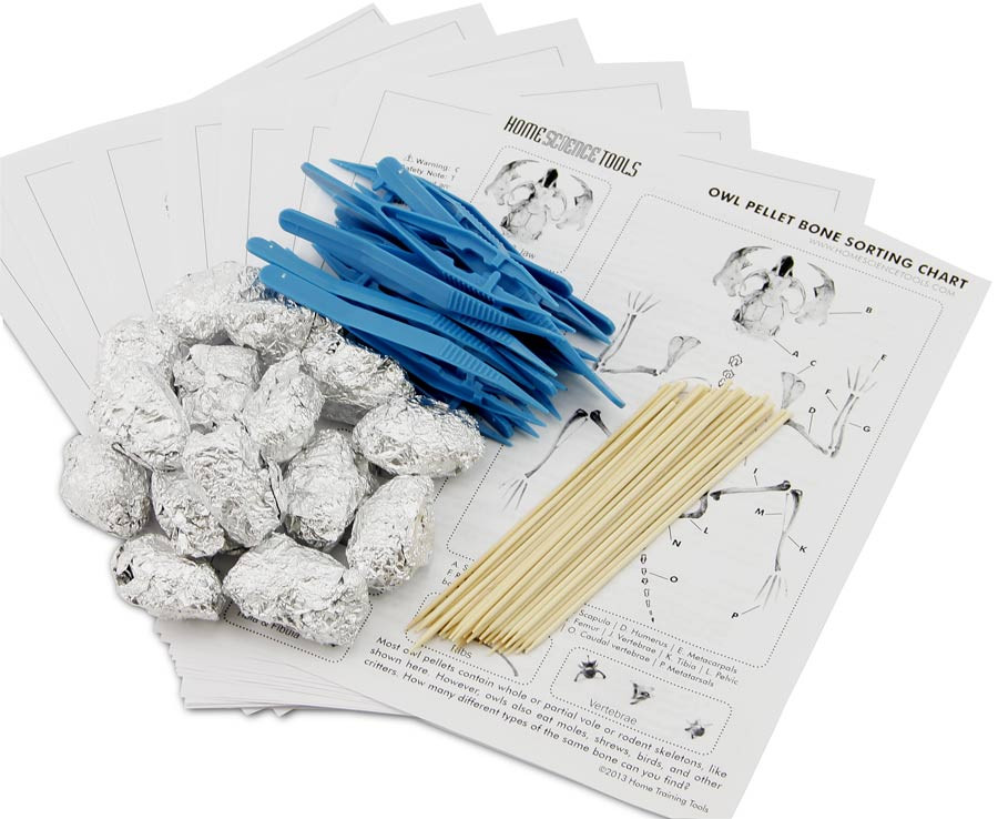 Image of Owl Pellets for Classroom Study