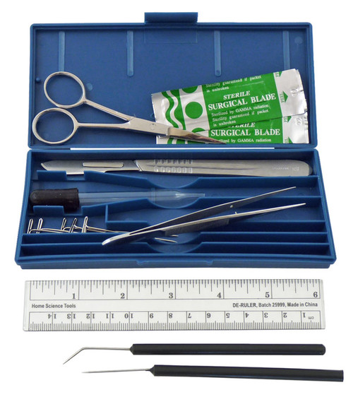 gross anatomy dissection video tools