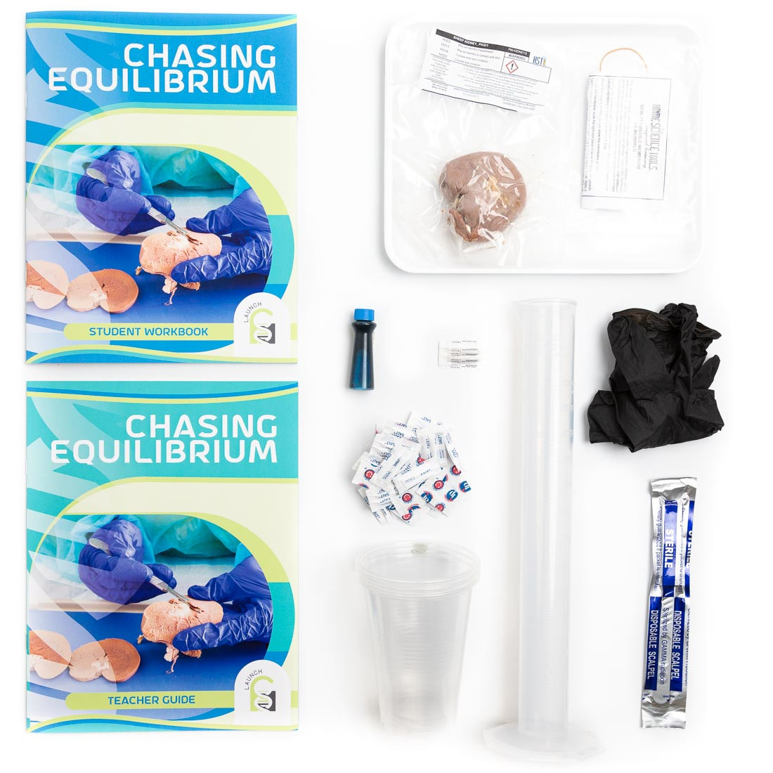 Image of Chasing Equilibrium