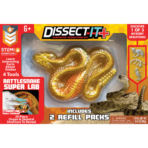 DE-GELSNAKE_0001_TST-