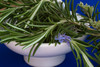 Rosemary Leaf Extract