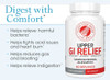 Silver Fern Brand Upper GI Relief - Natural Herbal Supplement - All Natural with Artichoke Leaf Extract, Ginger Root Extract, and GutGuard Licorice Flavonoids 60 capsules - 60 Day Supply)