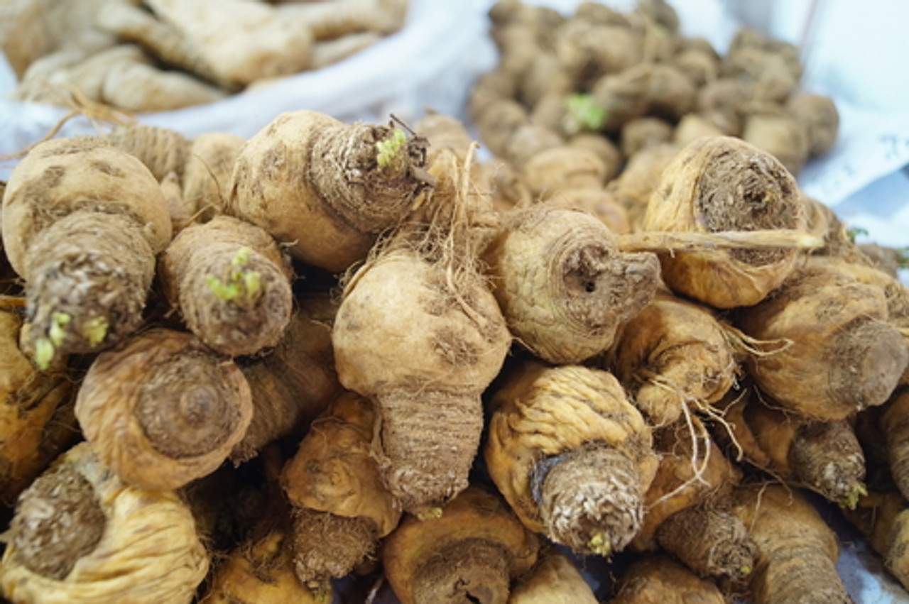 Maca Root Extract