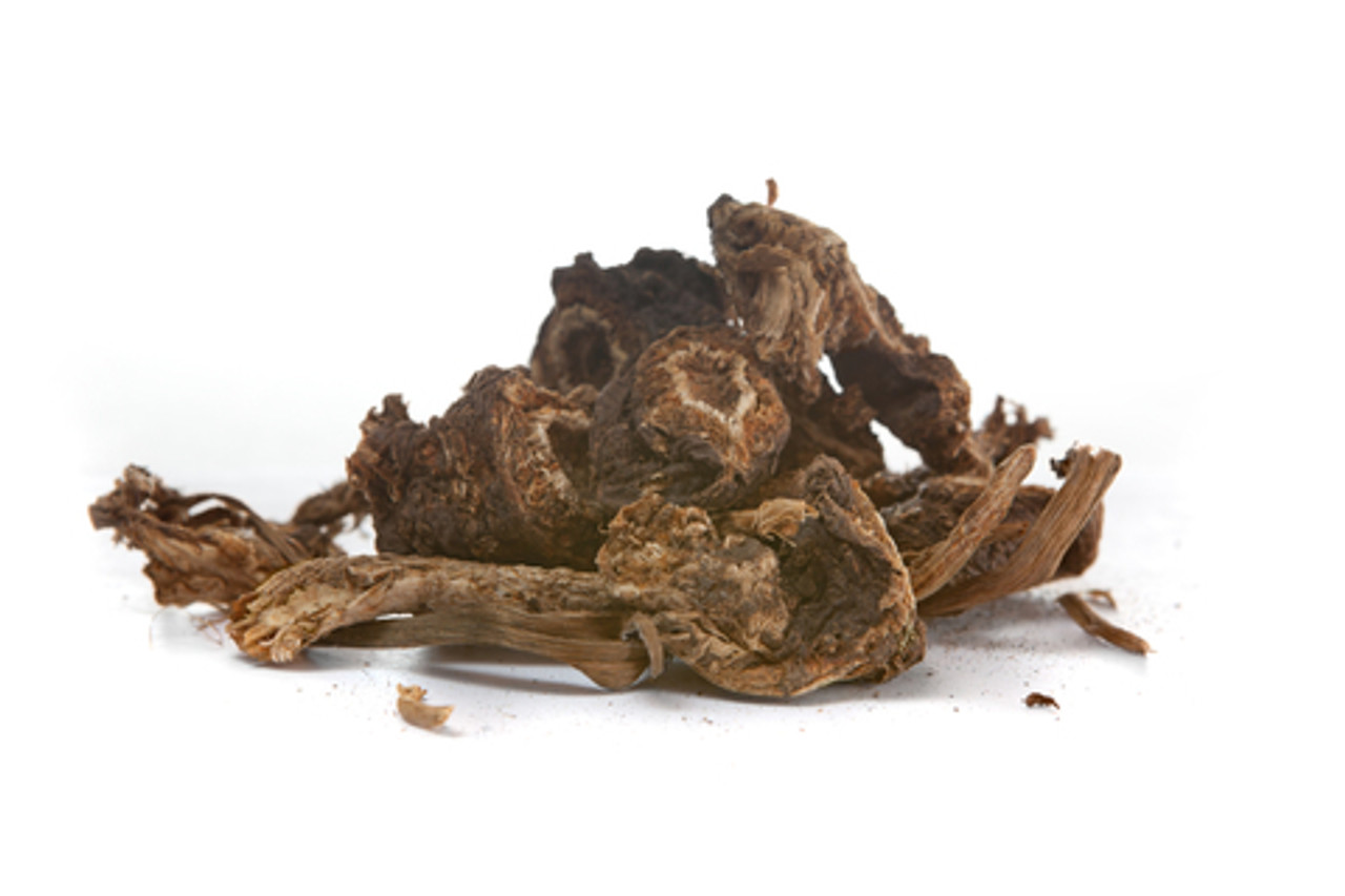 Osha Root Extract