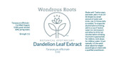 Dandelion Leaf Extract