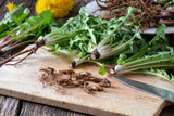 Dandelion Root Extract