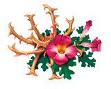 Devil's Claw Root Extract