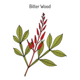Quassia Bark Extract