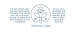 "Wondrous Nose" - Antiviral - Dry Nose & Nosebleed Preventive