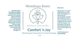 Comfort 'n Joy