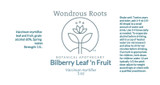 Bilberry Fruit & Leaf Extract