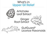 Silver Fern Brand Upper GI Relief - Natural Herbal Supplement - All Natural with Artichoke Leaf Extract, Ginger Root Extract, and GutGuard Licorice Flavonoids 60 capsules - 60 Day Supply)