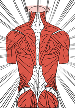 At last!  An amazingly effective & natural treatment for chronic pain?