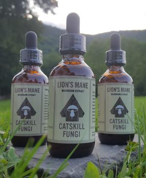 LION'S MANE Mushroom Extract - Catskill Fungi - 2 fluid ounces