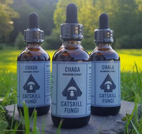 CHAGA Mushroom Extract - Catskill Fungi - 2 fluid ounces