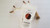 TotumVos Collagen Chews - 3 Delicious Varieties!