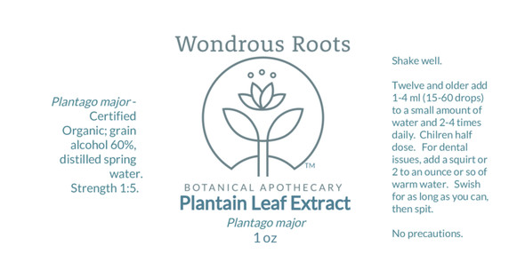 Plantain Leaf Extract - For Insect & Spider Bites, Dental Care, More!