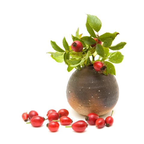Rosehips Extract