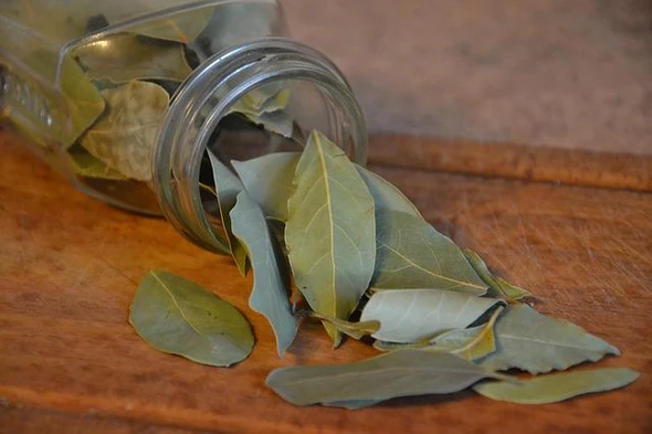 Bay Leaf (Lauris nobilis) Extract