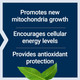 Life Extension PQQ, pyrroloquinoline Quinone, 20 mg, Promotes The Growth of New Mitochondria, Gluten-Free, Non-GMO, Vegetarian, 1 Daily, 30 Capsules