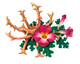 Devil's Claw Root Extract