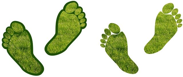 barefoot-gardening-assistance-990332-640.jpg