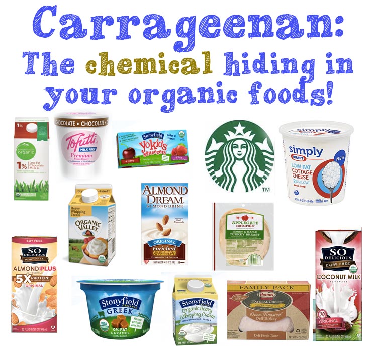 carrageenan-organic.jpg