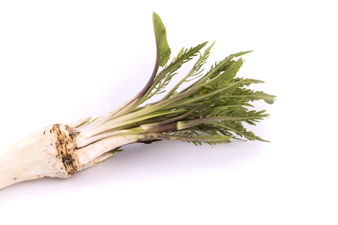 horseradish-dreamstime-xs-90634506.jpg