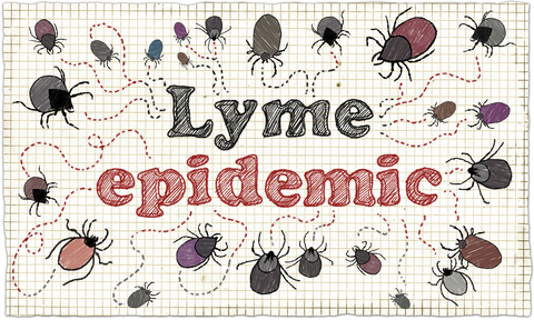 lyme-epidemic-dreamstime-xs-70363040.jpg