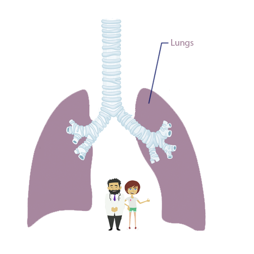 mesothelioma pleura